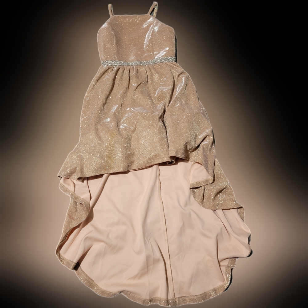 My Michelle Girls dress size 10